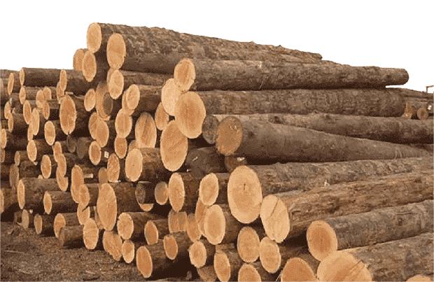 various types of wood