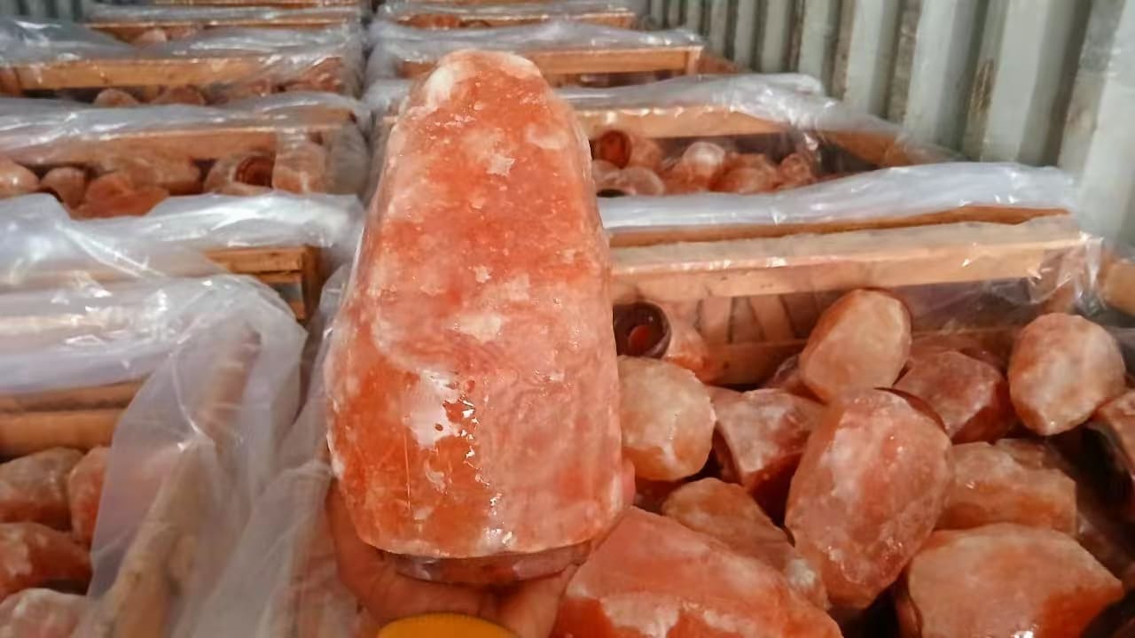 Professional demonstration of authentication process for genuine Himalayan salt lamps