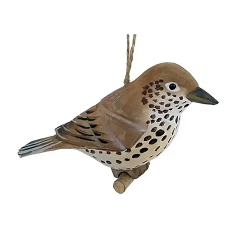 bird Wood Thrush