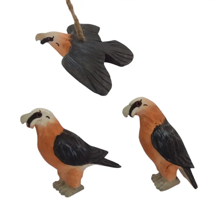 Bearded Vulture