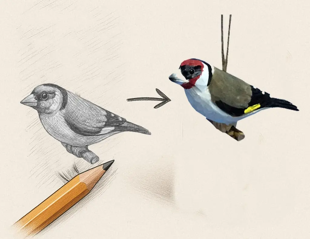 Product Design & Function