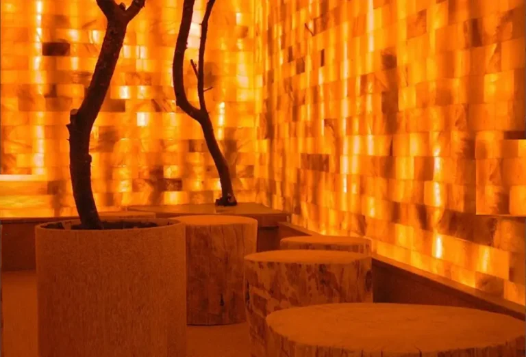 Himalayan Salt Bricks