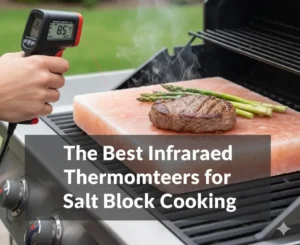 The Best Infrared Thermometers for Salt Block Cooking.