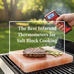 The Best Infrared Thermometers for Salt Block Cooking