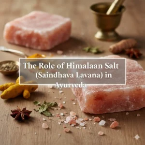 The Role of Himalayan Salt (Saindhava Lavana) in Ayurveda