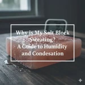 Why is My Salt Block Sweating? A Guide to Humidity and Condensation