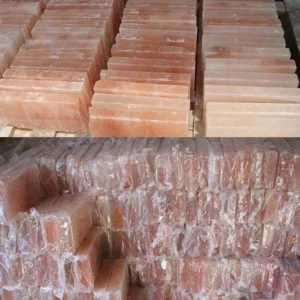 wholesale salt bricks