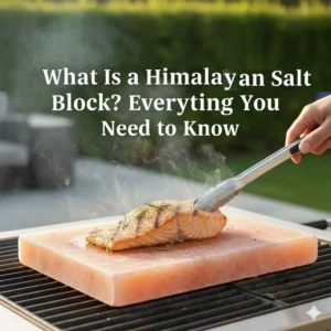 What Is a Himalayan Salt Block- Everything You Need to Know