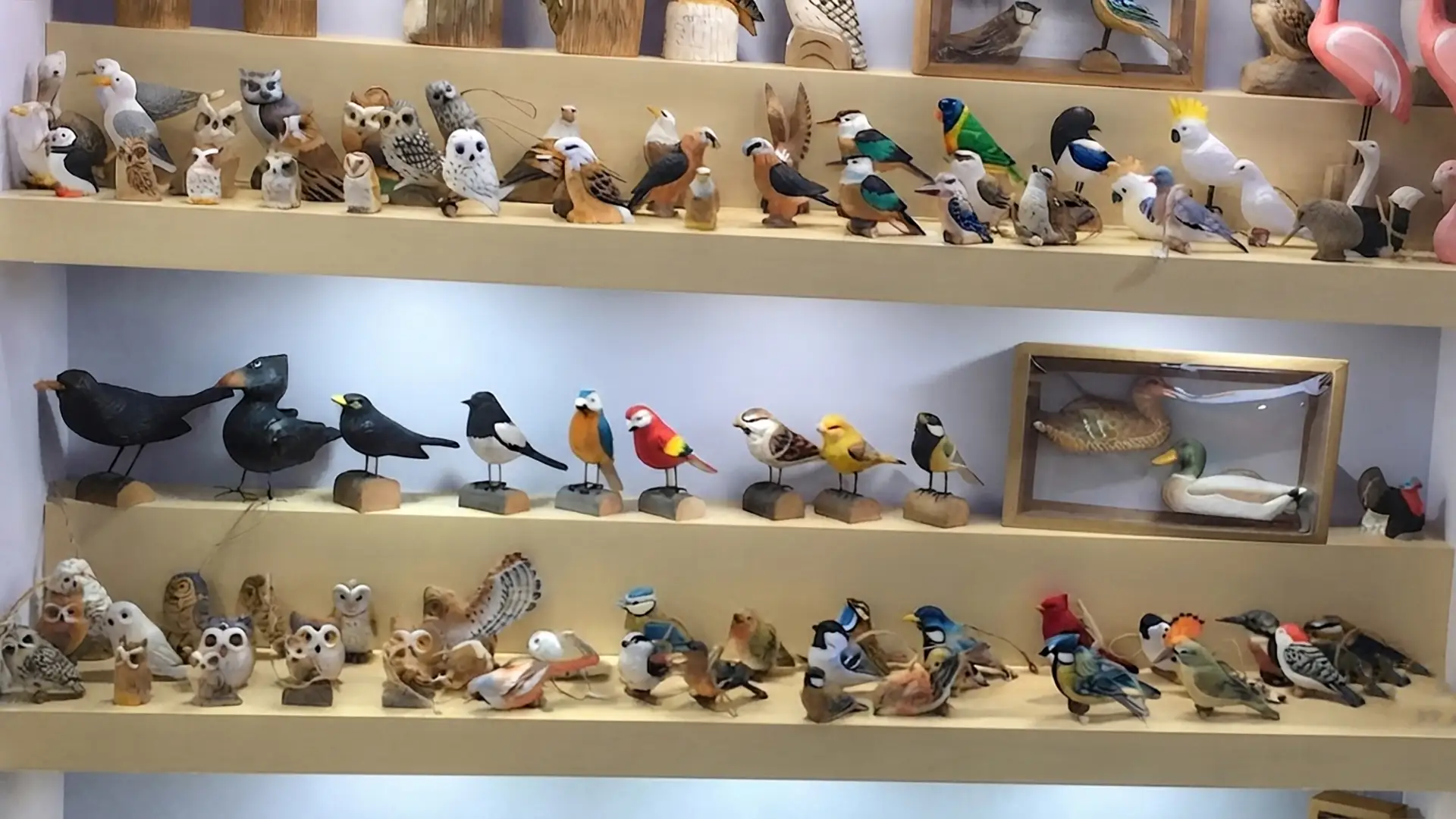 A showroom shelf display featuring a diverse collection of wholesale hand-carved basswood and pine wooden bird figurines, showcasing retail-ready artisan crafts for B2B buyers.