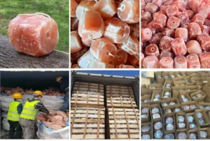 Bulk Himalayan salt licks for horses with rope ties, showing the transition from individual product inspection to container shipping and boxed distribution. Adhering to AQL 1% quality standards for tack shop inventory.