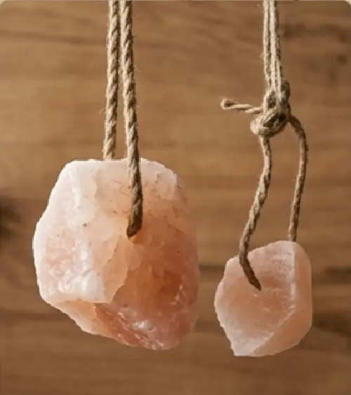 Animal Salt Licks