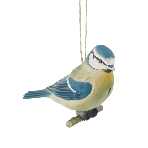 European Blue Tit