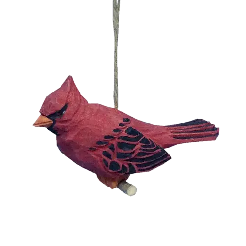 Cardinal