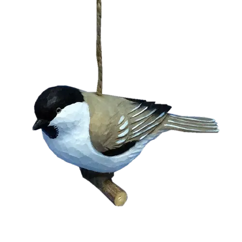Chickadee