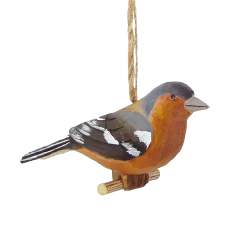 Common Chaffinch
