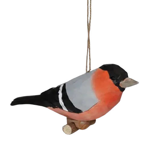 Eurasian Bullfinch