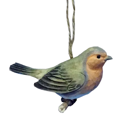 European Robin