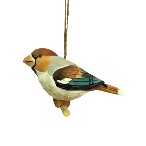 Hawfinch