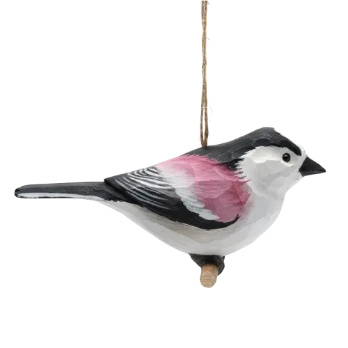 Long tailed Tit