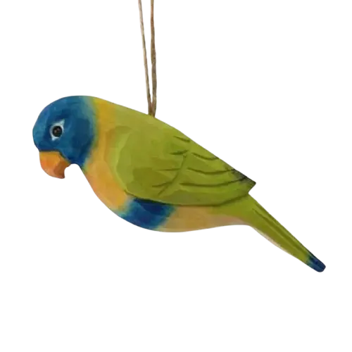Rainbow Lorikeet