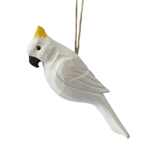 Sulphur crested Cockatoo
