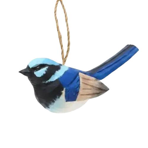 Superb Fairywren
