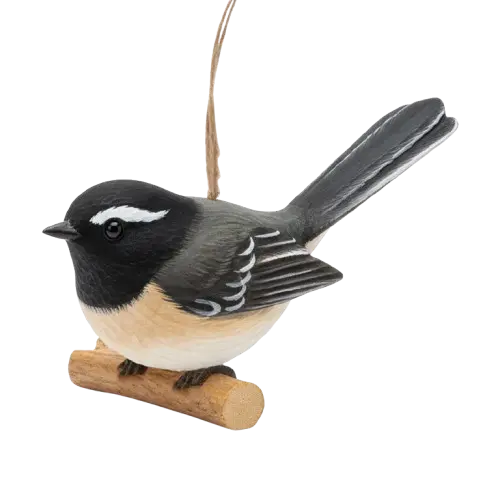 Willie Wagtail