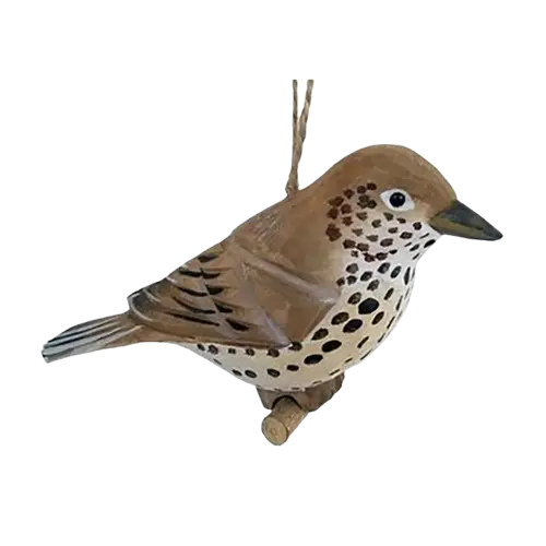 Wood Thrush