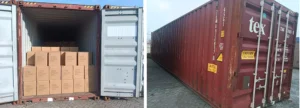 A split view showing the exterior of a 40-foot shipping container and the interior cargo loading of master cartons organized according to container stowage best practices.