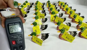 Quality control process for a bulk batch of custom wooden ducks, with a moisture meter showing a compliant reading to prevent cracking