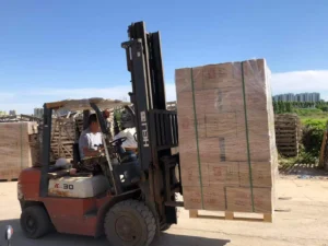 Factory forklift transporting palletized wholesale Himalayan salt products for secure export logistics and transit