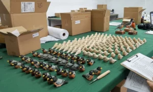 Quality inspection table comparing mass-produced natural wood carved birds and hand-painted wooden sculptures for wholesale ordering.